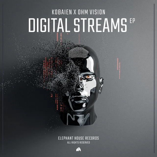 Digital Streams