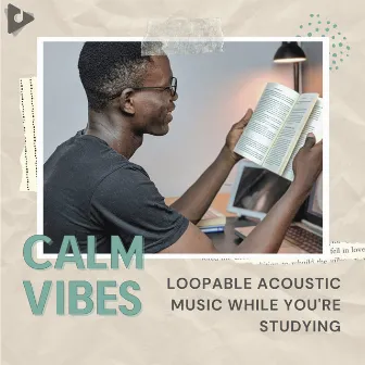 Loopable Acoustic Music While You're Studying by Unknown Artist