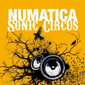 Sonic Circus by Numatica