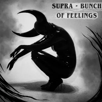 Bunch Of Feelings by Supra