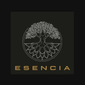 Esencia by Emed'zeta