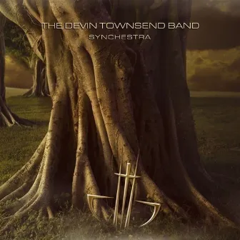 Synchestra by Devin Townsend Band