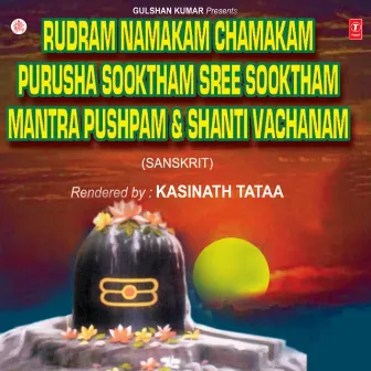 Rudram Namakam Chamakam Purusha Sooktham Sree Sooktham Mantra Pushpam by Kasinath Tataa