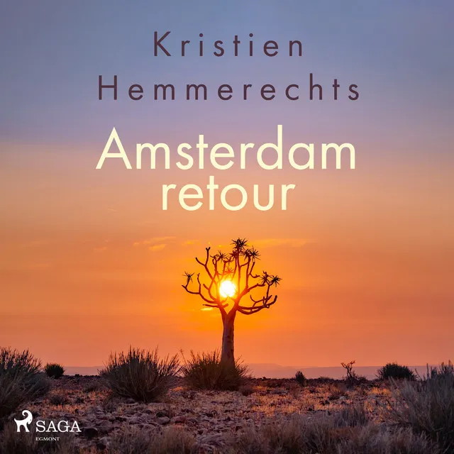 Chapter 3.6 - Amsterdam retour