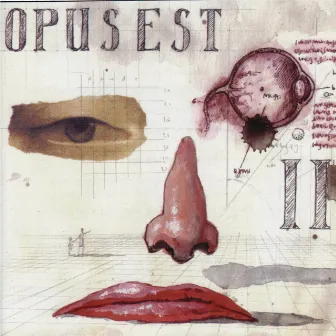 Opus II by Opus Est