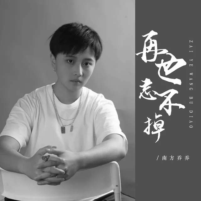 再也忘不掉 - DJ彭锐版