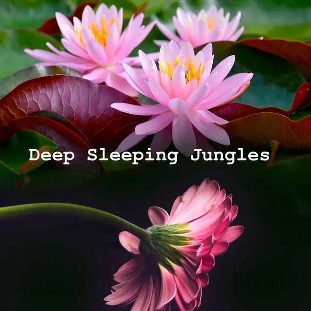 Deep Sleeping Jungles