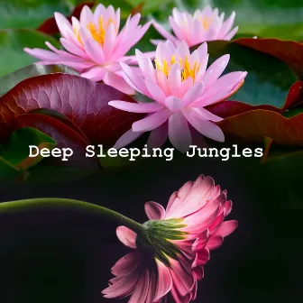 Deep Sleeping Jungles by Nature Sounds Conservatory