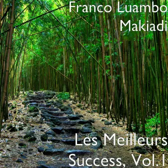 Les Meilleurs Success, Vol.1 by Franco Luambo Makiadi