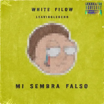 Mi sembra falso by White Filow