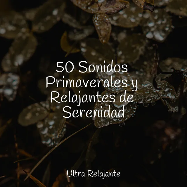 50 Sonidos Primaverales y Relajantes de Serenidad