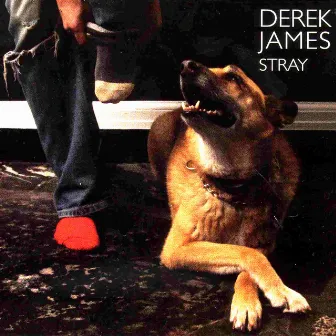 Stray by Derek James