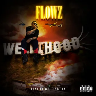 King Of Wellington by Flowz