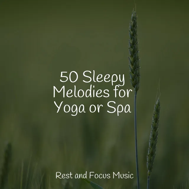 50 Sleepy Melodies for Yoga or Spa