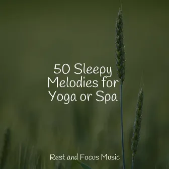 50 Sleepy Melodies for Yoga or Spa by Relaxing Sleep Music