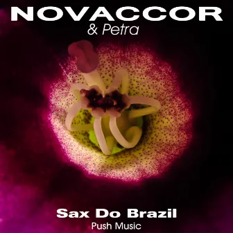 Sax Do Brazil by petra