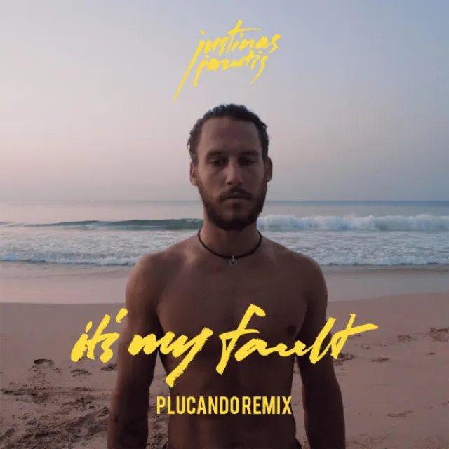 It's My Fault (Plucando Remix)