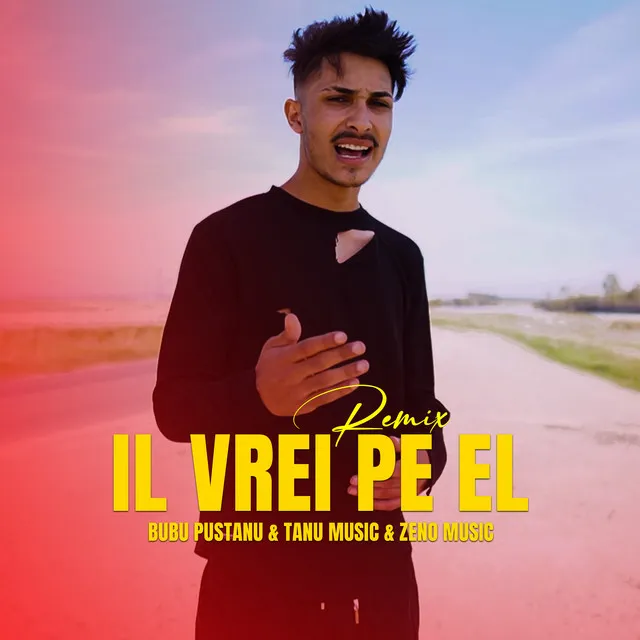 Il vrei pe el (Remix)