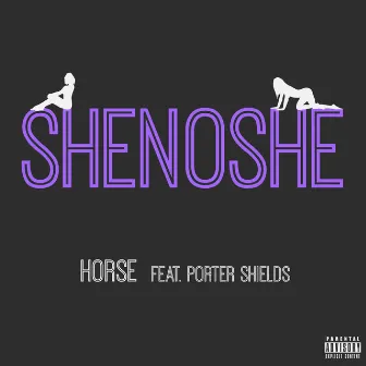 Shenoshe by Horse