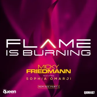 Flame Is Burning (Remixes Part 1) by Micky Friedmann