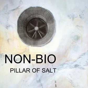 Pillar of Salt by Non-Bio