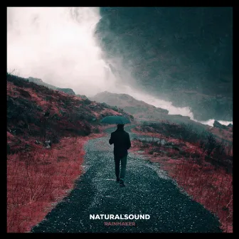 Rainmaker by NATURALSOUND