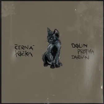 Cerna Kocka (feat. Darewin & Protiva) by Dolin