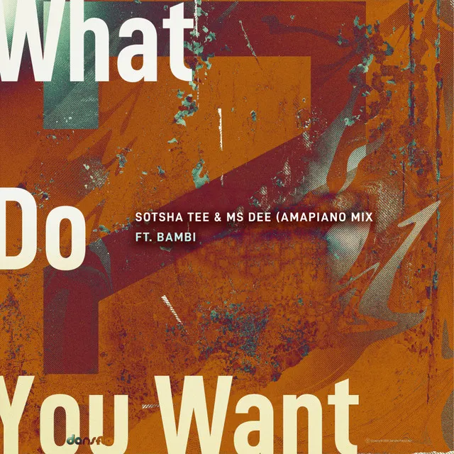 What Do You Want - Amapiano Mix