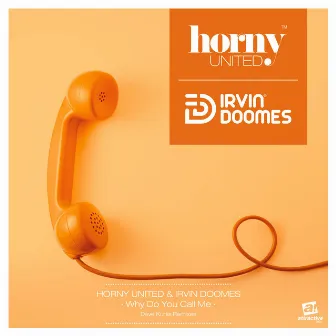 Why Do You Call Me (Dave Kurtis Remixes) by Irvin Doomes