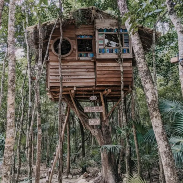 Treehouse