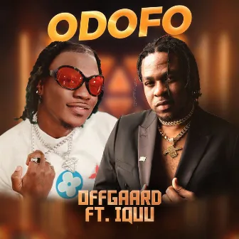 Odofo by Offgaard