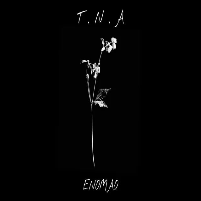 T. N. A.