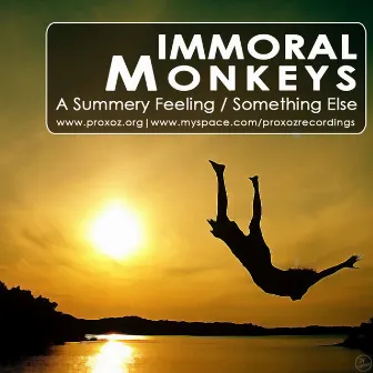 A Summery Feeling / Something Else by Immoral Monkeys