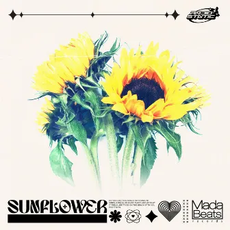 Sunflower by Radiostatic