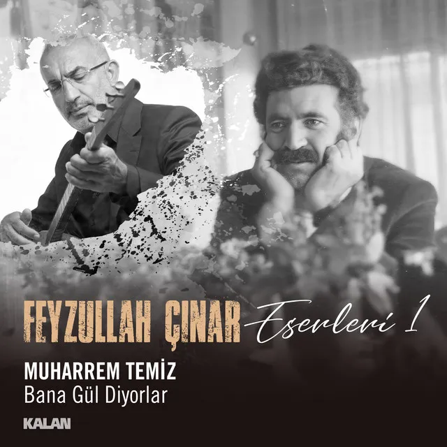 Bana Gül Diyorlar (Feyzullah Çınar Eserleri 1)