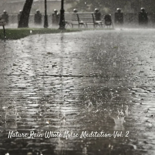 Nature Rain White Noise Meditation Vol. 2