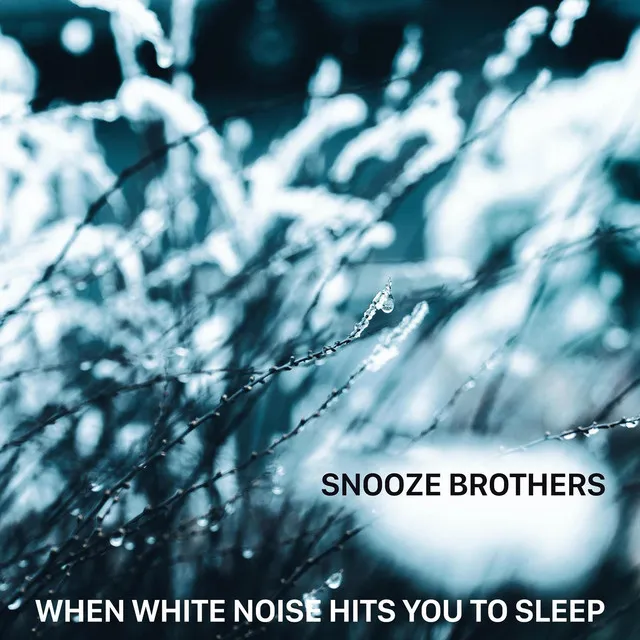 When White Noise Hits You to Sleep