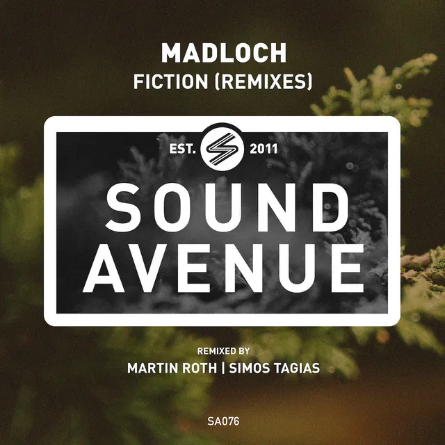 Fiction - Martin Roth Remix