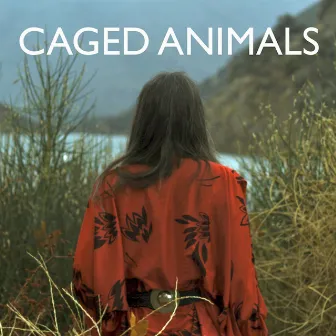 This Summer by Caged Animals