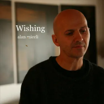 Wishing by Alan Miceli