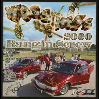 Bangin Screw 2000 by Woss Ness