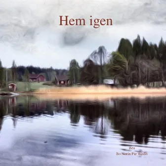 Hem igen by Bo Norin