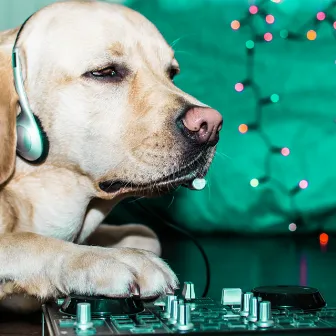 Paws and Play: Ambient Music by Calming Brown Restful Sounds