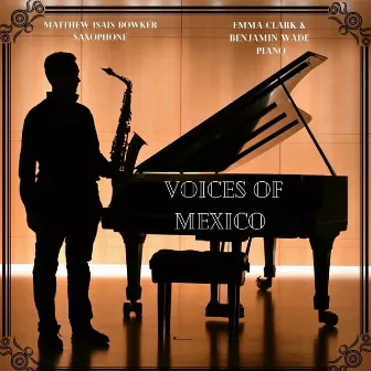 Voices of Mexico by Matthew Bowker