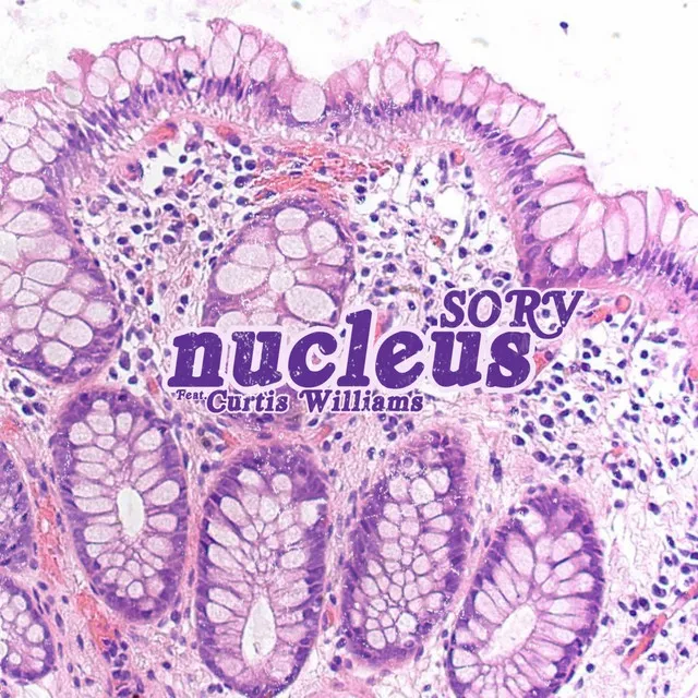 Nucleus