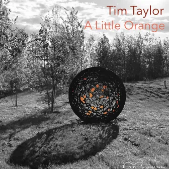 A Little Orange by Tim Taylor