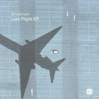 Late Flight by Brickman