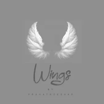 Wings by Prags