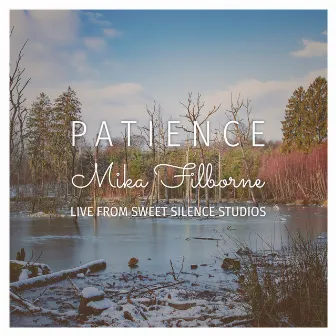 Patience by Mika Filborne