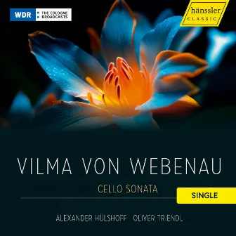 Vilma von Webenau - Cello Sonata - Allegro moderato by Vilma von Webenau